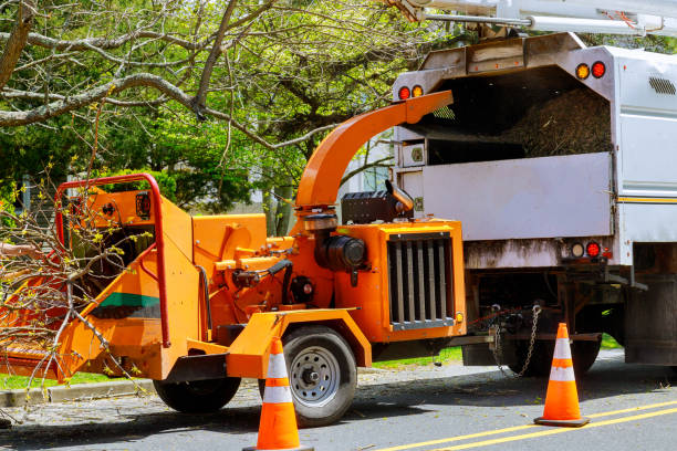  Yorketown, NJ Tree Removal and Landscaping Services Pros